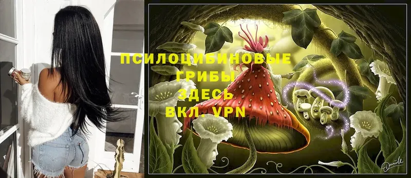 Галлюциногенные грибы Magic Shrooms  Сертолово 